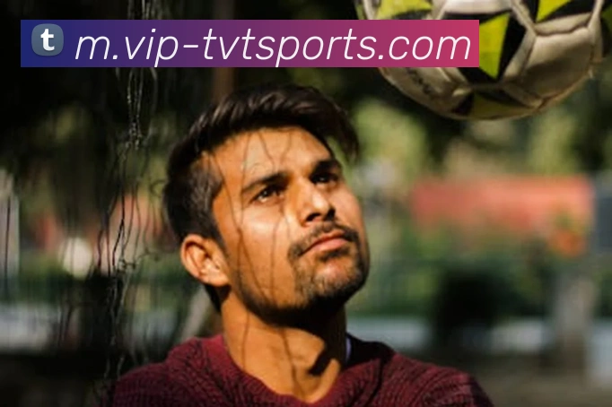 体育下注平台生态图