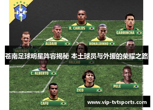 苍南足球明星阵容揭秘 本土球员与外援的荣耀之路 苍南足球明星阵容揭秘 本土球员与外援的荣耀之路