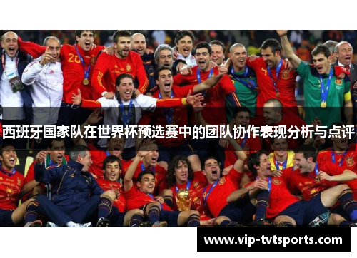 西班牙国家队在世界杯预选赛中的团队协作表现分析与点评