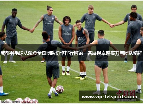 成都羽毛球队荣登全国团队协作排行榜第一名展现卓越实力与团队精神