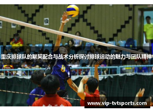 重庆排球队的默契配合与战术分析探讨排球运动的魅力与团队精神