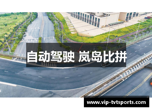 自动驾驶 岚岛比拼 自动驾驶 岚岛比拼